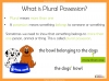 Apostrophes for Plural Possession - Years 3 and 4 Teaching Resources (slide 4/16)